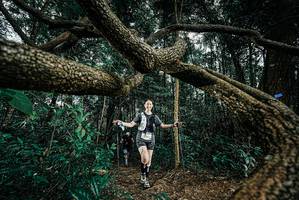 BIB: 
                            <button type="button" onclick="openModal(25705591)" class="btn btn-primary btn-sm float-right btn-popup" data-toggle="modal" data-target=".modal-high-quality">
                        <i class="fas fa-shopping-cart"></i> Add to Cart
                    </button>
                                            <button type="button" onclick="isThisMe(25705591, true)" class="btn btn-success btn-sm float-right btn-popup btn-isme hidden" data-toggle="tooltip" data-placement="bottom" title="นี่คือรูปของคุณใช่ไหม คลิกที่นี่เพื่อเอาเข้าอัลบั้ม">
                        <i class="fas fa-plus"></i> Add to album
                    </button>
                    <button type="button" onclick="isThisMe(25705591, false)" class="btn btn-warning btn-sm float-right btn-popup btn-isnotme hidden">
                        <i class="fas fa-ban"></i> Remove from album
                    </button>